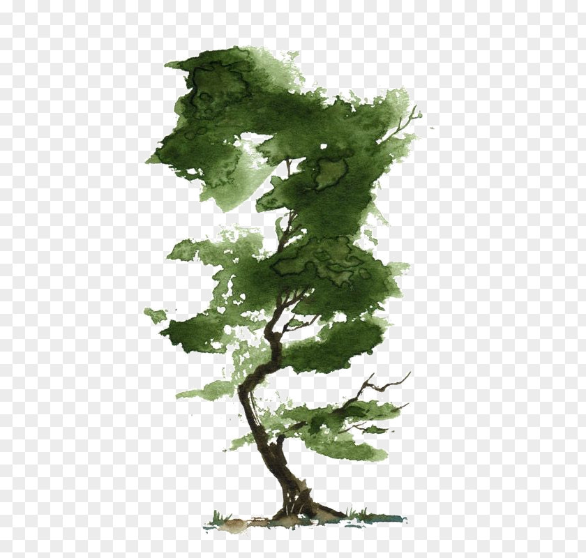 Painting Watercolor Tree Bonsai Art PNG