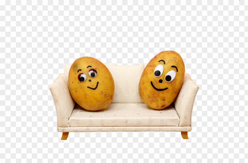 Potato Couch Chair Video PNG
