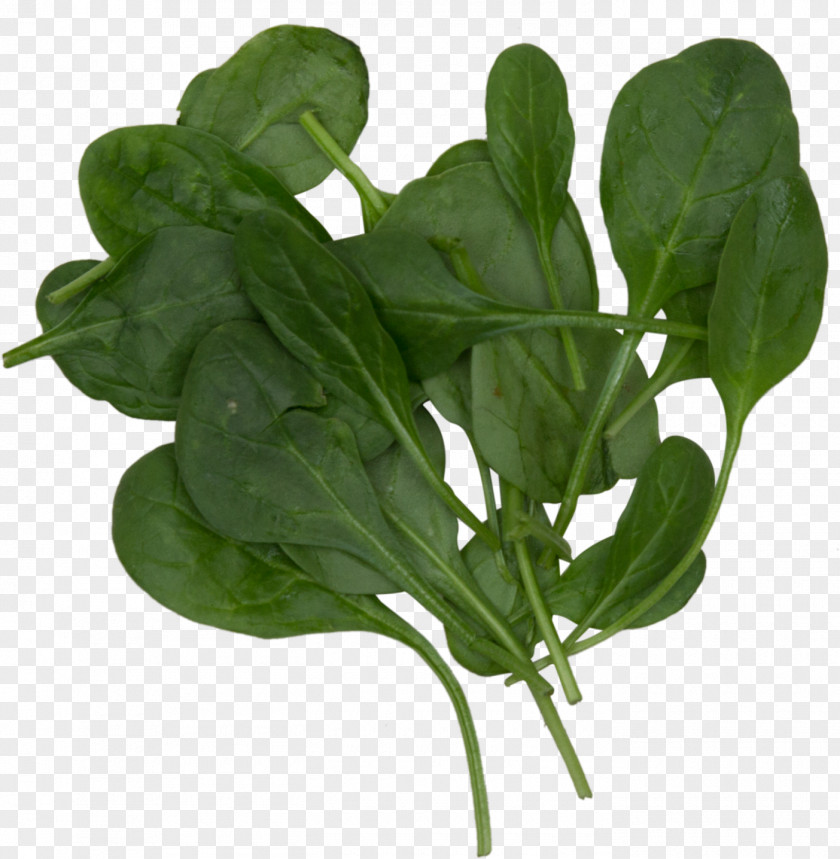 Smoothie Spinach Leaf Vegetable Food Komatsuna PNG