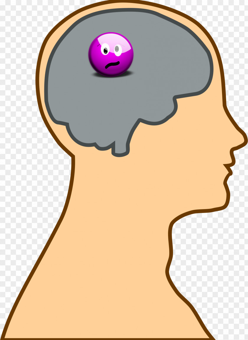 Thought Human Brain Head Clip Art PNG