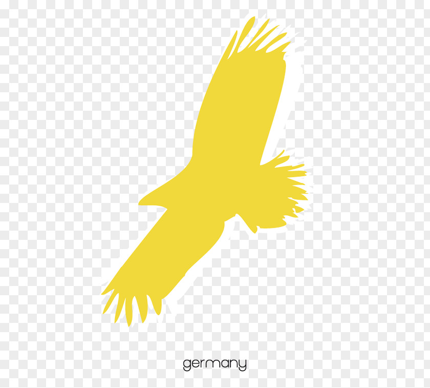 Agreements Graphic Logo Font Beak Fauna Feather PNG