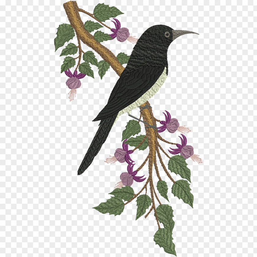 Bird Honeyeaters Parrot Crane Clip Art PNG