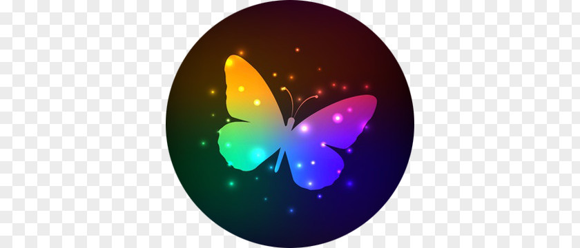 Butterfly Rainbow Wing Color PNG