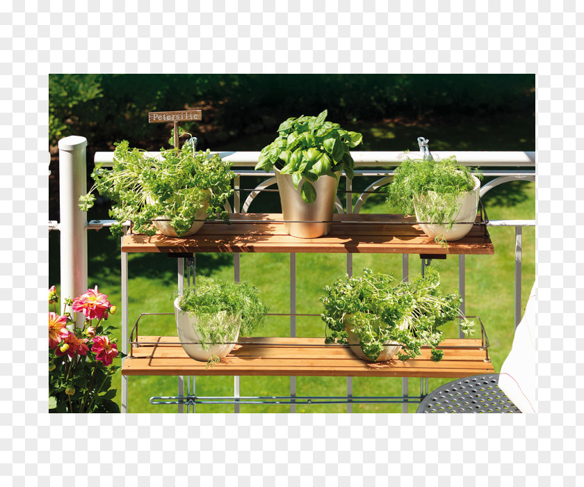 Creeper Hang On Road Floral Table The Balcony Shelf Hylla PNG