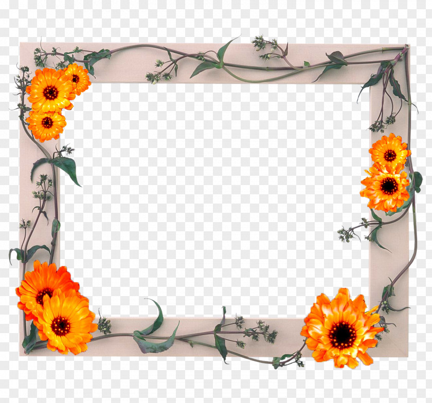 Glass Picture Frames Photography Clip Art PNG