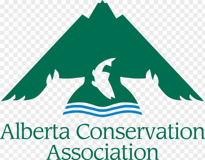 Mississagi Provincial Park Alberta Conservation Assn Riparian-zone Restoration Natural Environment Organization PNG