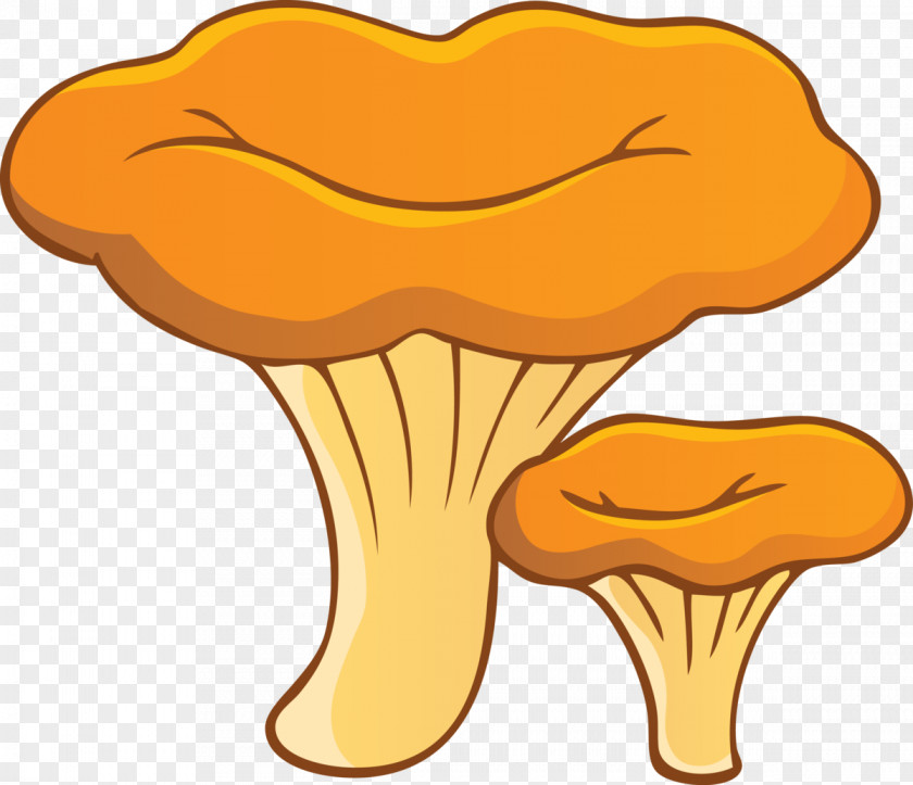 Mushroom Chanterelle Fungus Edible Aspen PNG