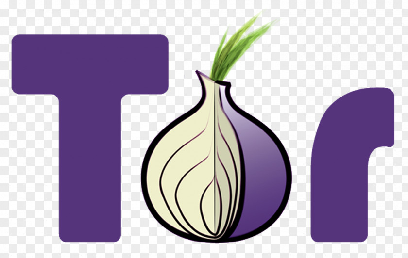 Onion Tor .onion Routing The Hidden Wiki Anonymity PNG
