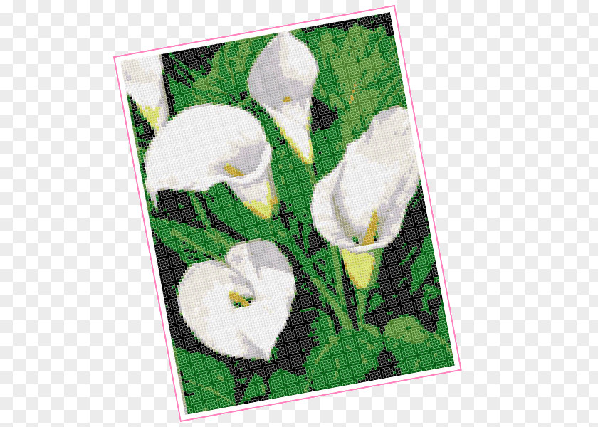 Stitch Flowering Plant Petal Picture Frames PNG