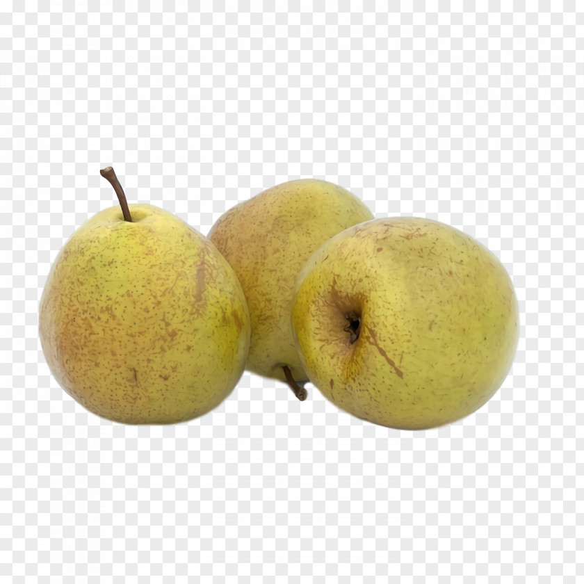 Asian Pear Apple Fahrenheit PNG