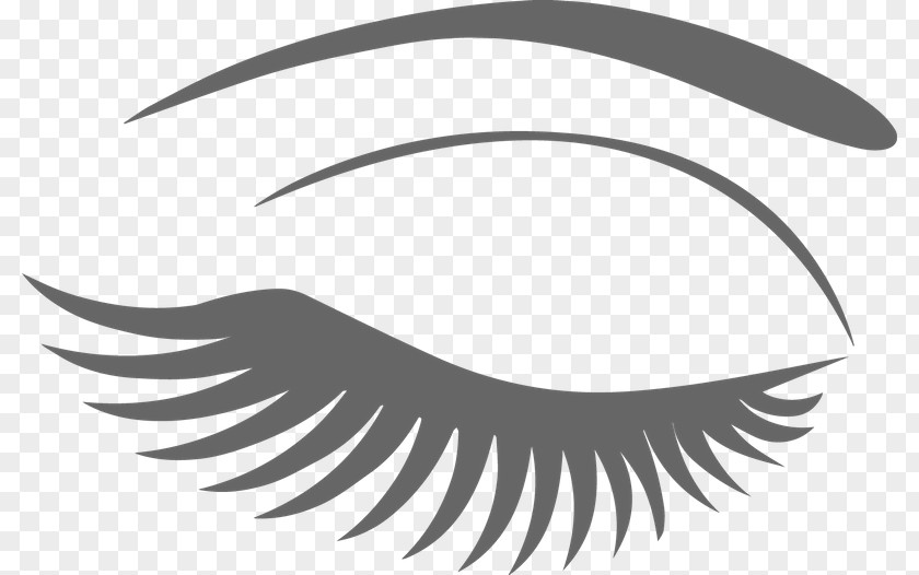 Eye Eyelash Extensions Cosmetics Clip Art PNG