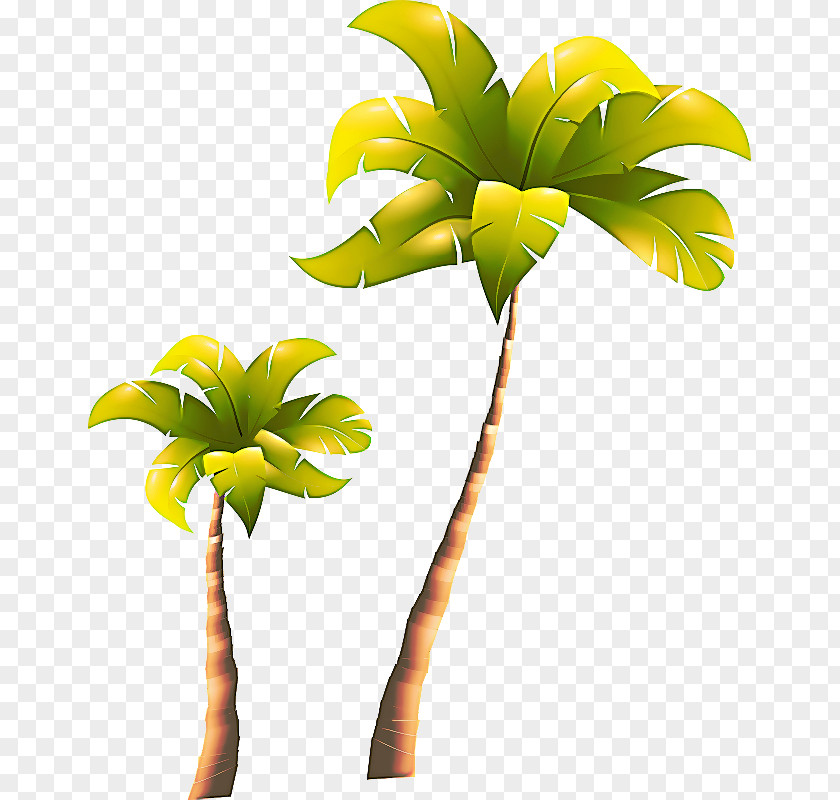 Houseplant Coconut Tree Cartoon PNG