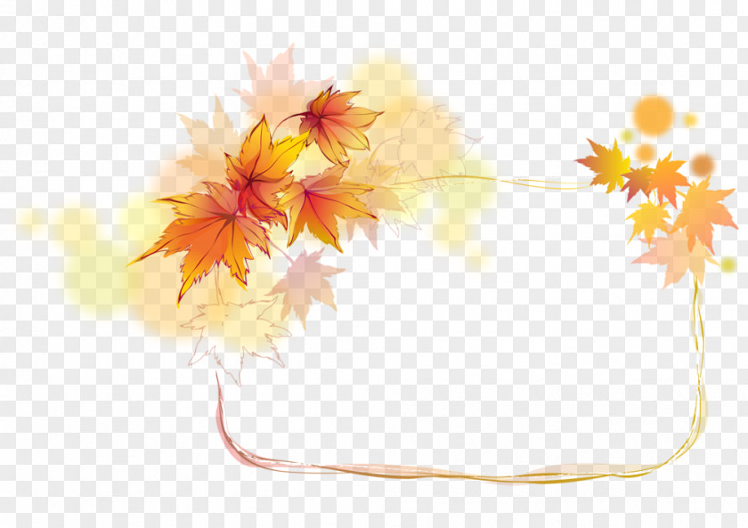 Leaf Maple PNG