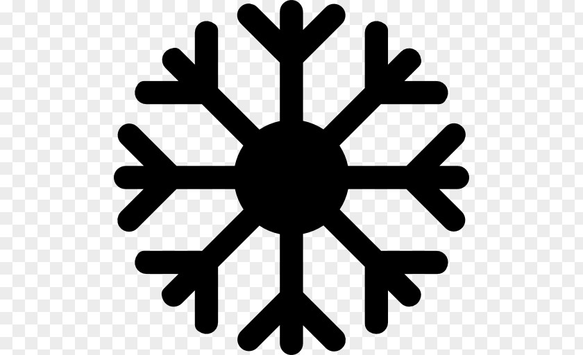 Snowflake Frozen Food Freezing PNG