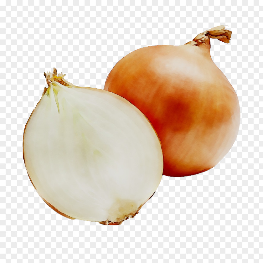 Yellow Onion Shallots Solo Garlic Vegetable Powder PNG