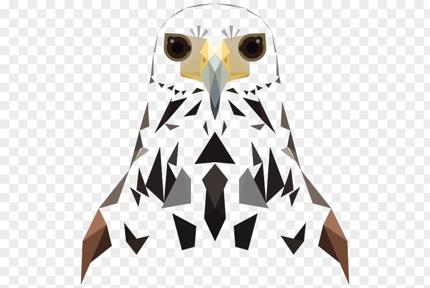 Eagle Owl Bird Hawk PNG