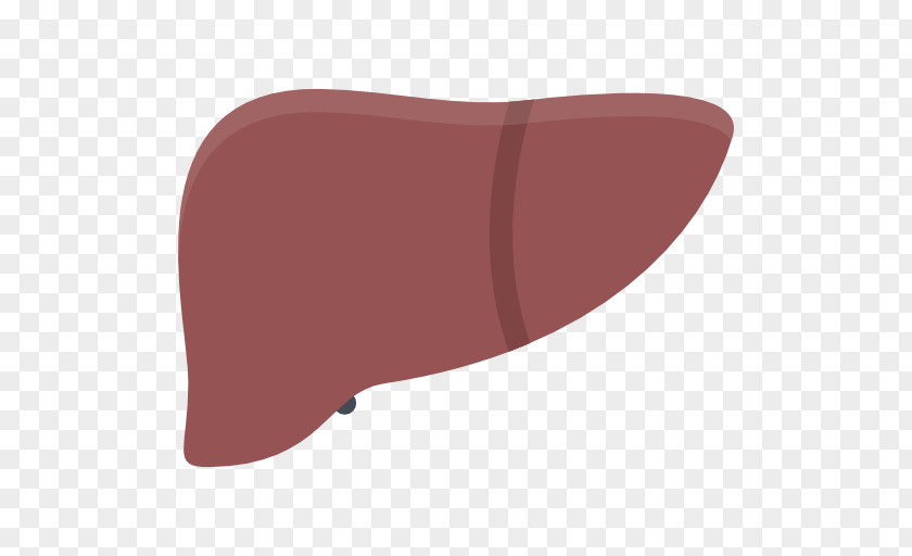 Liver Image PNG