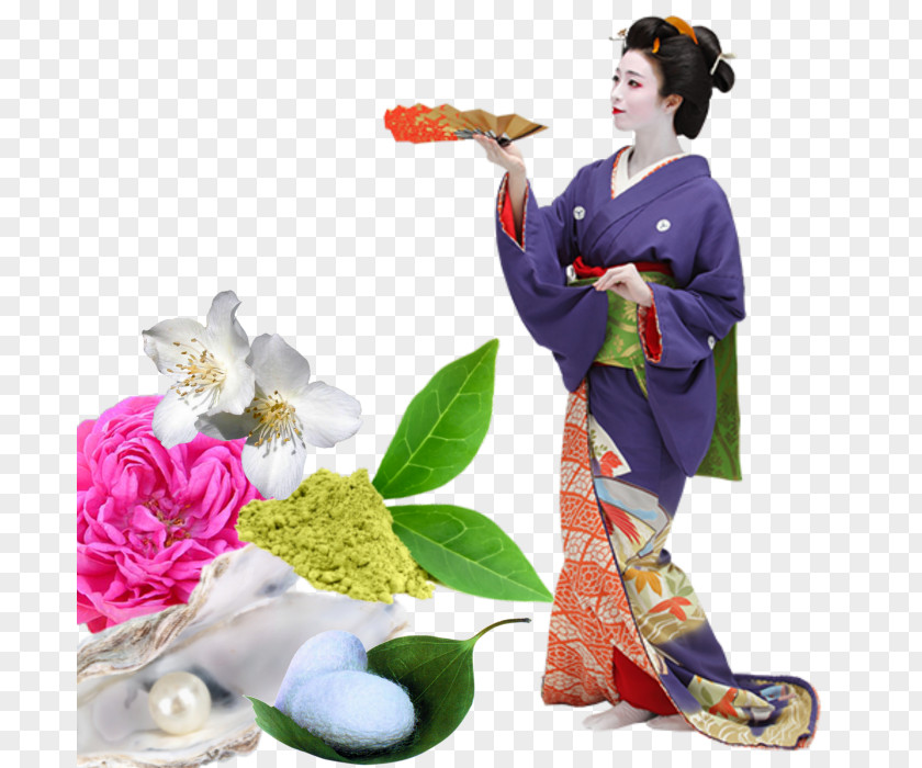 Pearl Powder Geisha Japan Clip Art PNG