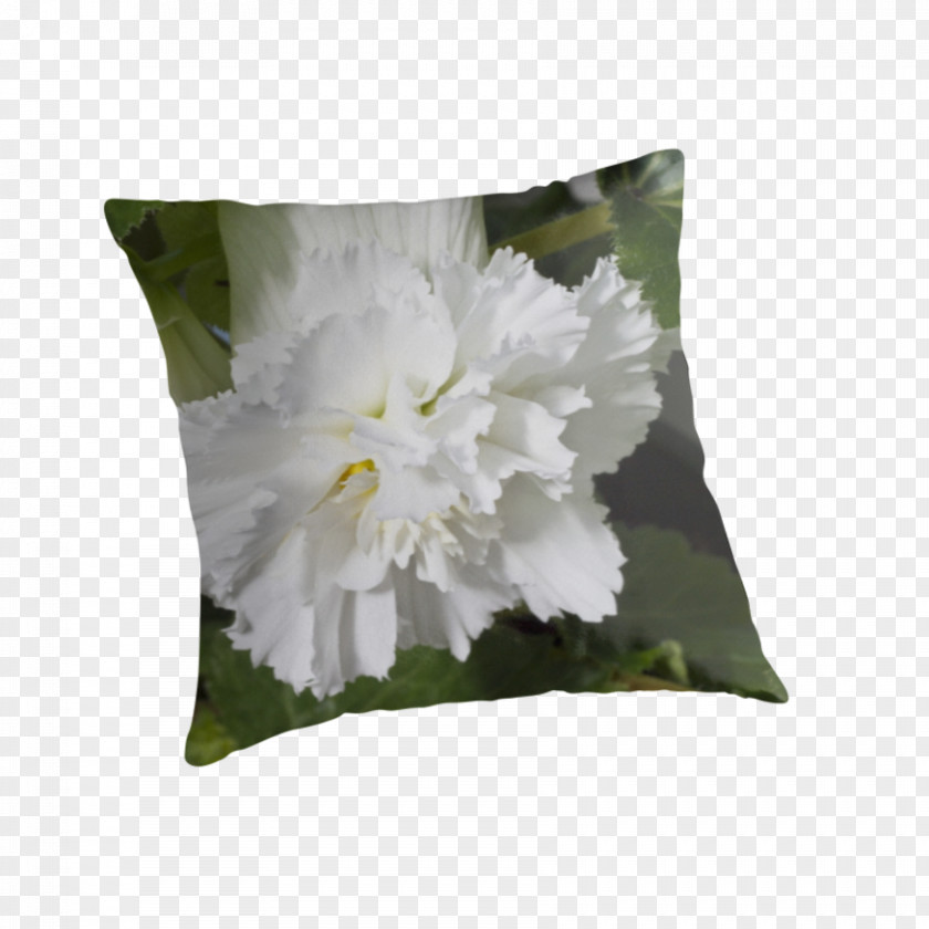 Pillow Throw Pillows Cushion Flowering Plant PNG