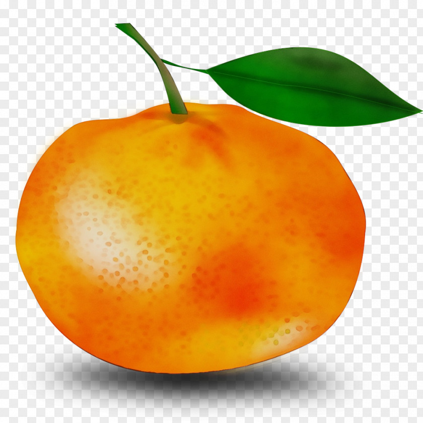 Vegetarian Food Tree Orange PNG