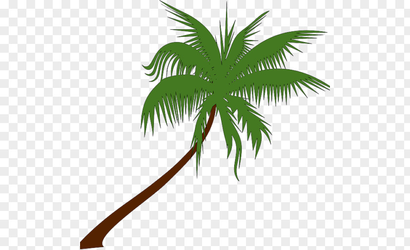Coconut Palm Trees Clip Art Openclipart PNG