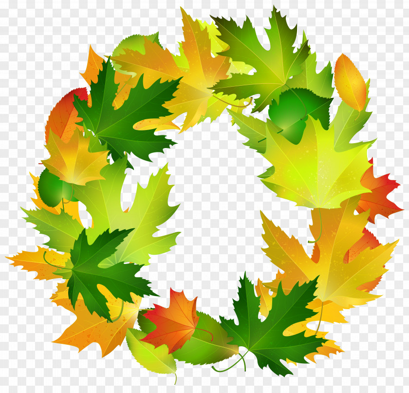 Fall Leaves Oval Border Frame Clipart Image Leaf Clip Art PNG