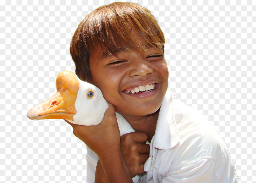 Foreign Baby Child Duck Cambodia Goose PNG
