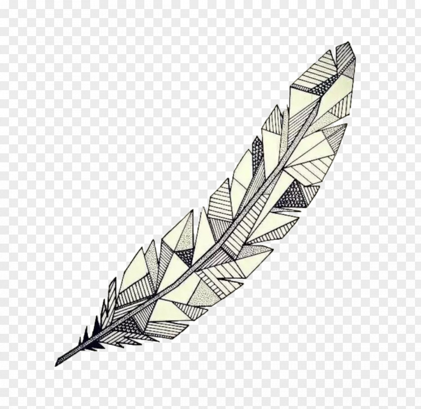 Hand-painted Feathers Drawing Feather Geometry Watercolor Painting Sketch PNG