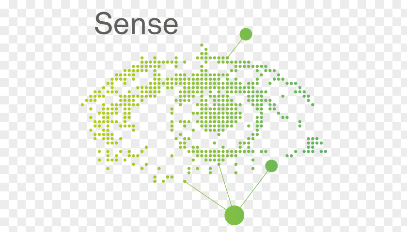 Sense Of Space Brand Point Leaf Pattern PNG