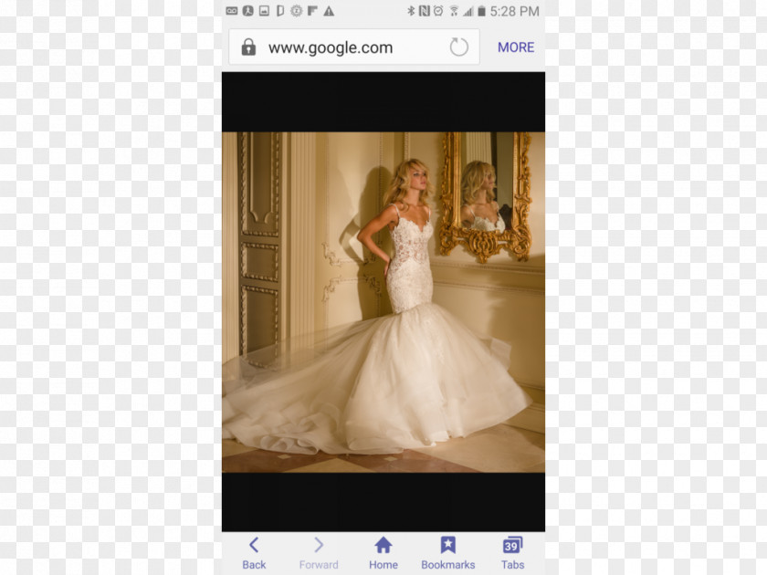 Wedding Dress Bride Video PNG