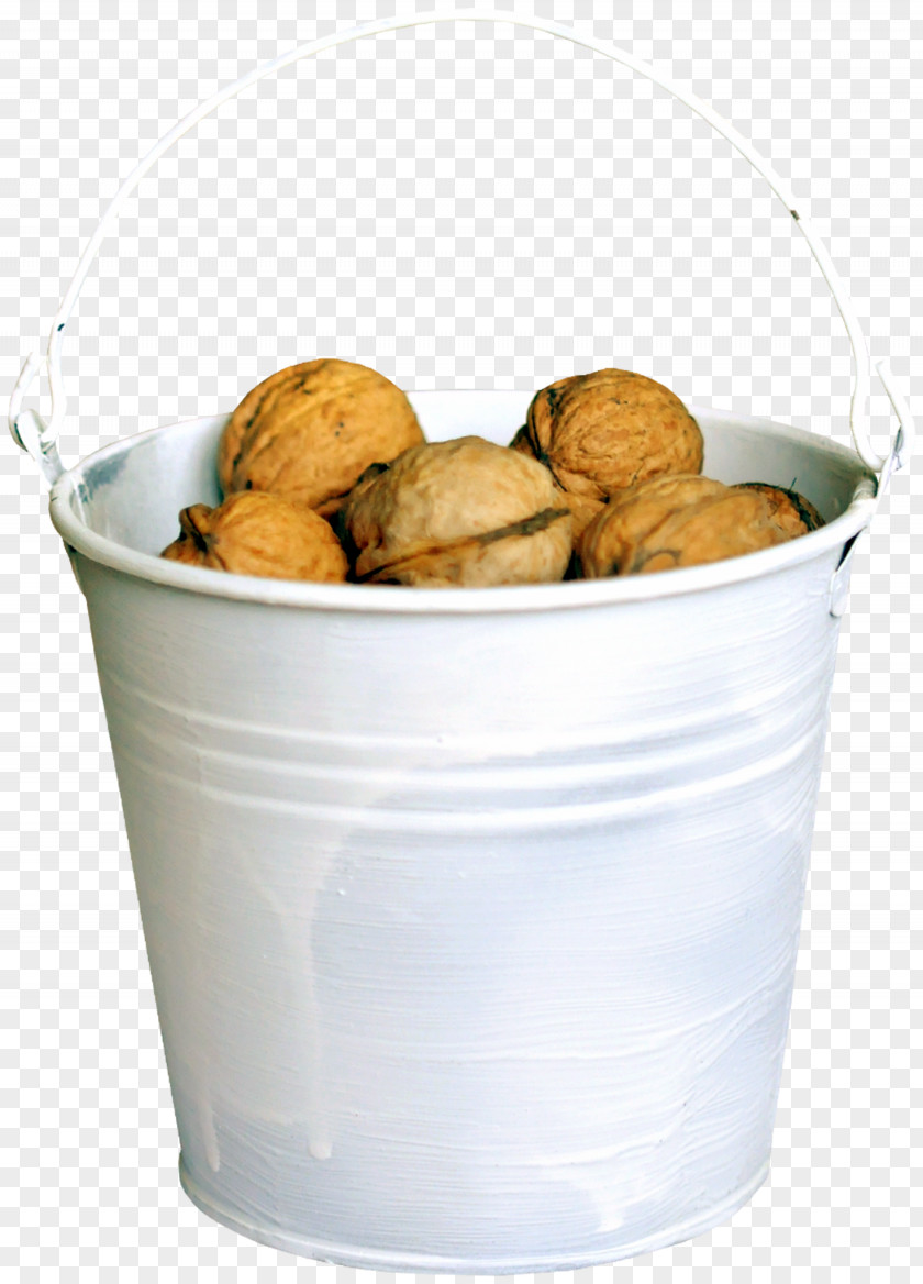 A Bucket Of Nuts Walnut Software PNG