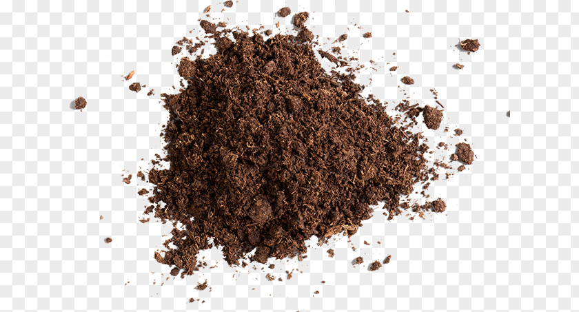 Brown Soil Plant Cocoa Solids PNG