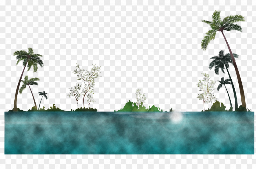 Palm Tree PNG