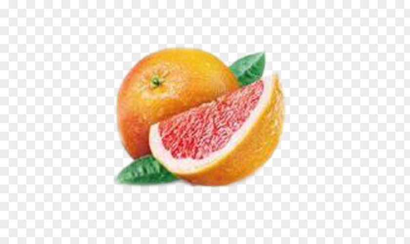 Red Grapefruit Seed Extract Pomelo Lemon PNG