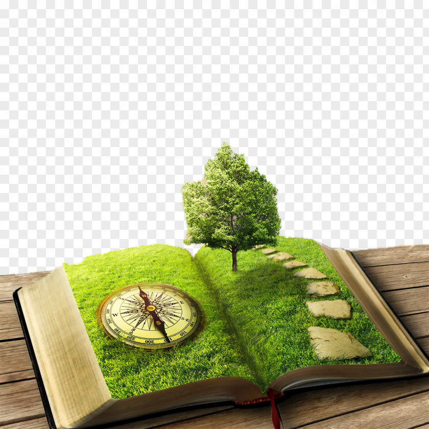 The Book World Sons And Lovers Stock Photography Tree PNG