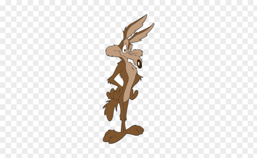 Wil E Coyote Wile E. And The Road Runner Cartoon Looney Tunes PNG