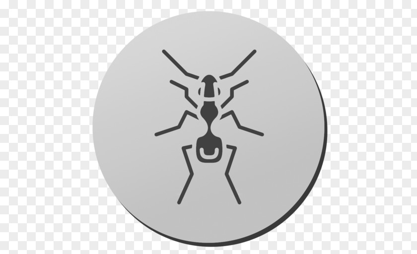 Ant Royalty-free PNG