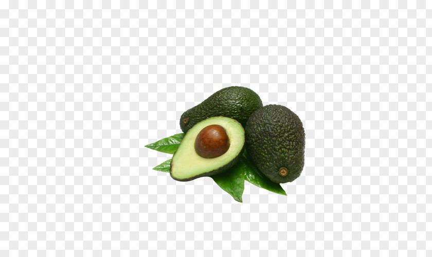 Avocado Hass Guacamole Fruit PNG