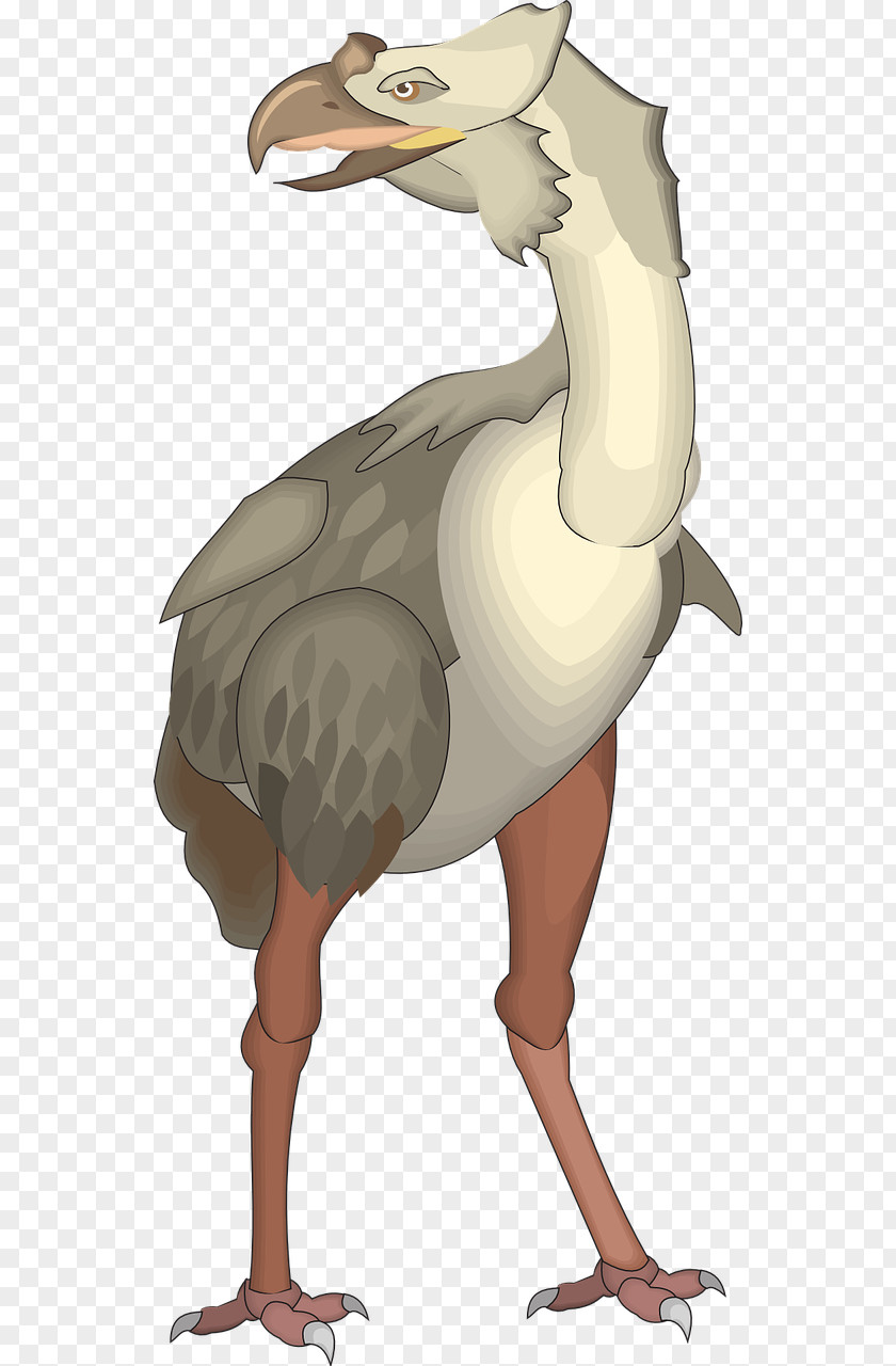 Bird Common Ostrich T-shirt Dinosaur Apatosaurus PNG