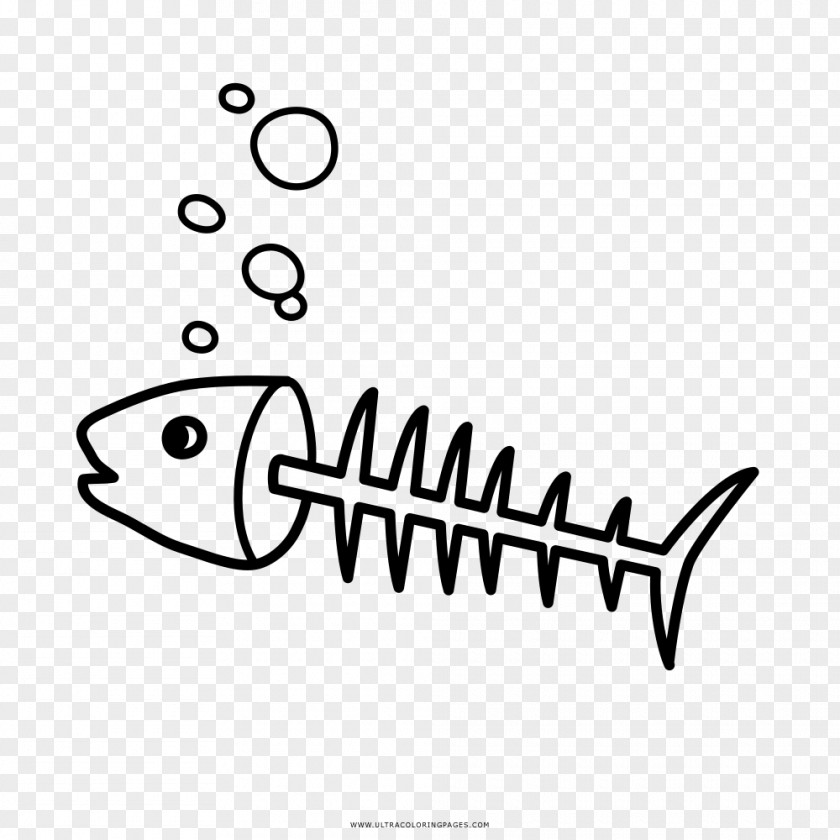 Fish Bone Drawing Coloring Book Thorns, Spines, And Prickles PNG