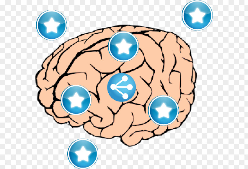 Large Pearl Human Brain Drawing Clip Art PNG