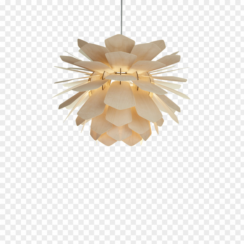 Pine Cone Light Fixture Pendant Conifer Lighting PNG