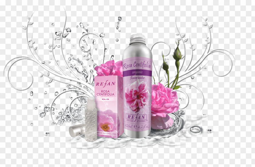 Rosa Centifolia Perfume Refan Bulgaria Ltd. Cosmetics Cabbage Rose Parfumerie PNG