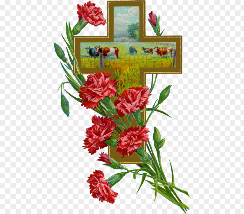 Stary Background Floral Design Carnation, Lily, Rose Flower PNG