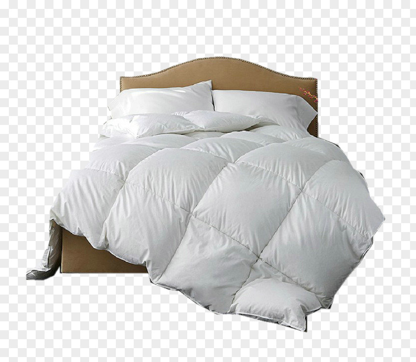 Winter Goose Down Is Double Feather Pillow Duvet Comforter PNG