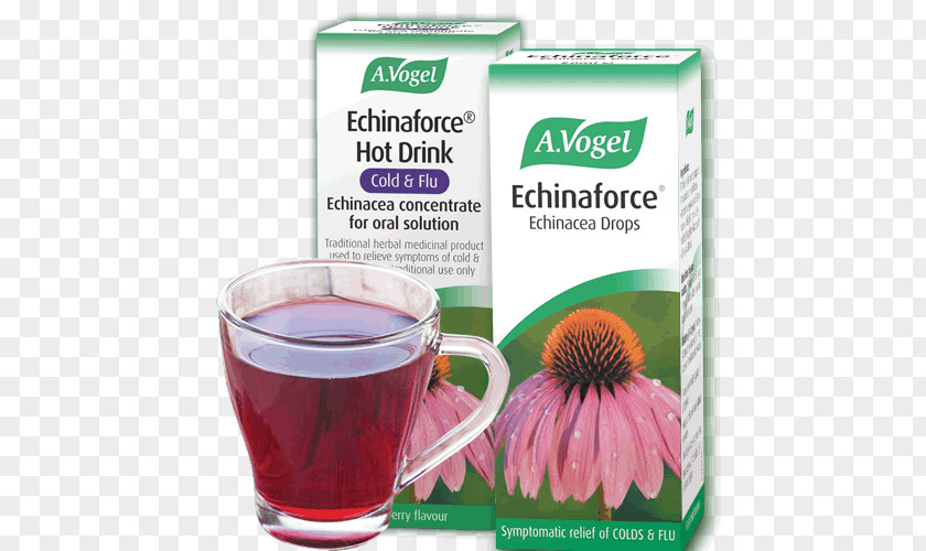 Herbal Medicine Echinacea Purpurea Echinaforce Common Cold Dietary Supplement Herb PNG
