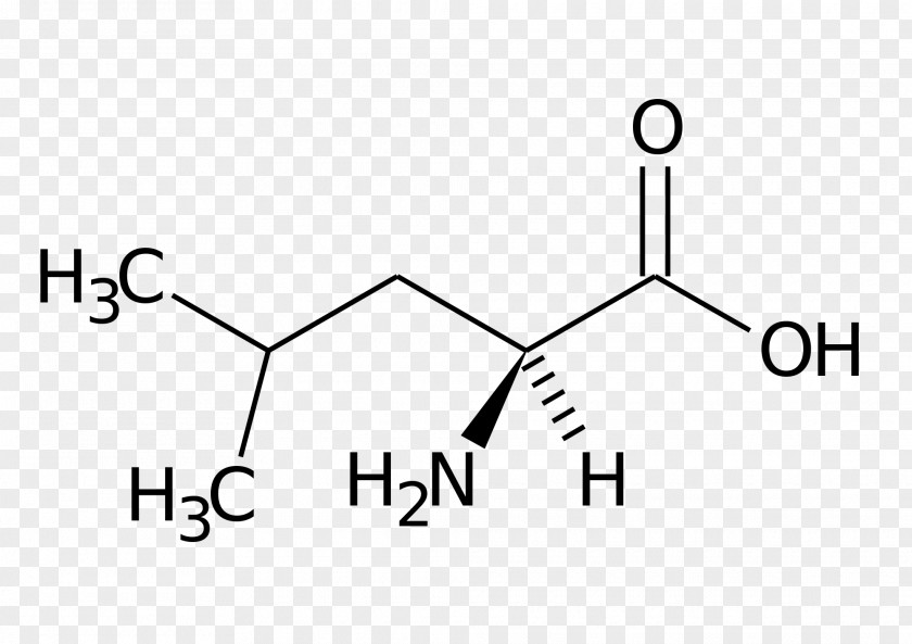 Penicillamine Isoleucine Alanine Amino Acid Serine PNG