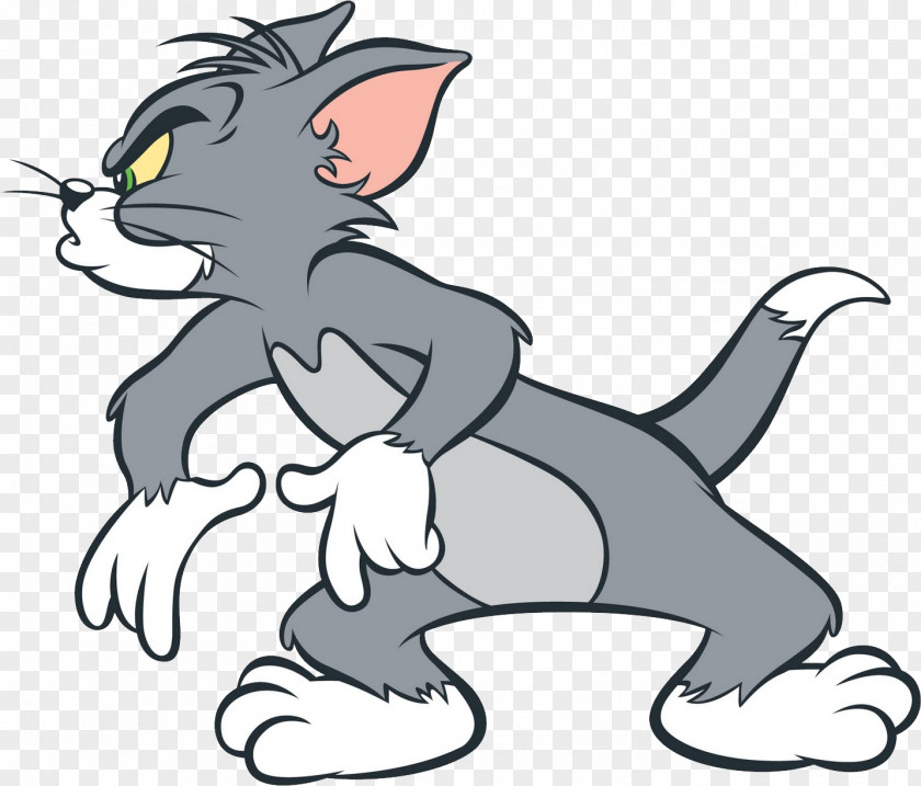 Tom And Jerry Mouse Cat Cartoon Network PNG