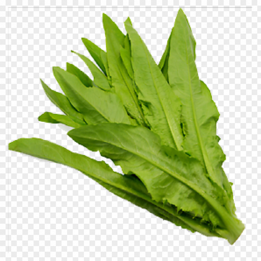 Vegetable Spring Greens Celtuce Choy Sum Leaf PNG