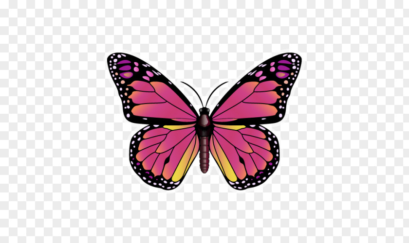 Butterfly Monarch Insect Clip Art PNG